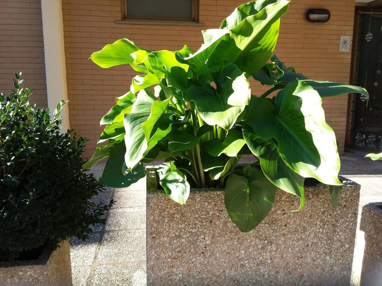 Albergo Nyers Perugia Buitenkant foto